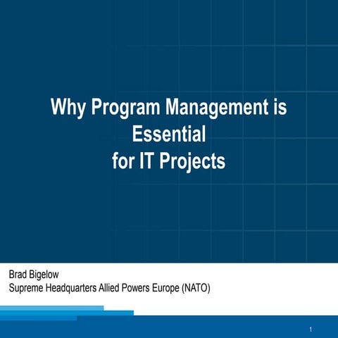 Why Program Management is Essential for IT Projects