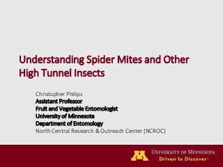 What Everybody Ought To Know About Can You Root Christmas Cactus In Water