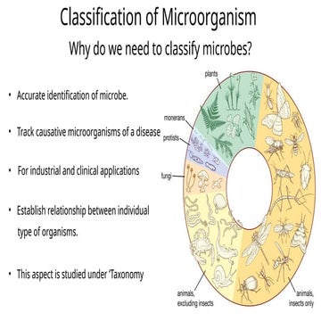 Microbial-Taxonomy-and-Tools.pptx