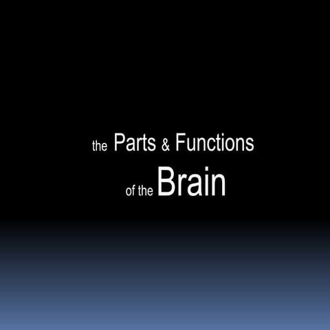The Parts & Function of the Brain
