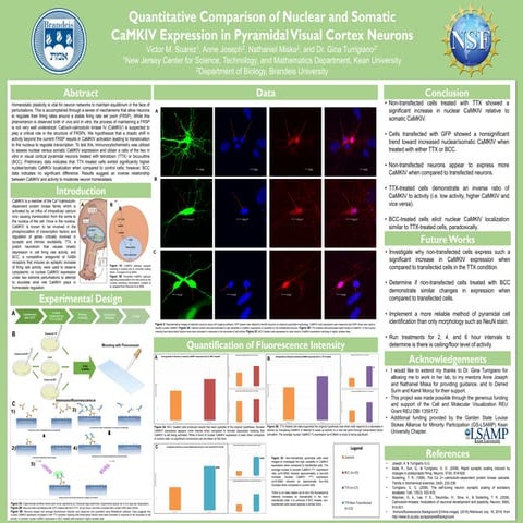 BrandeisBiologyREUResearchPoster_final_final