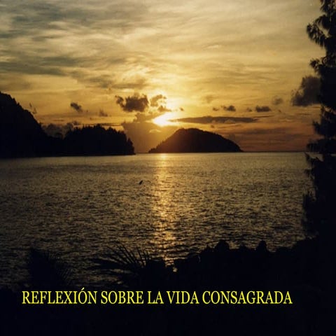 8589 vita consagrata