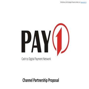Pay1 Company Overview | PDF