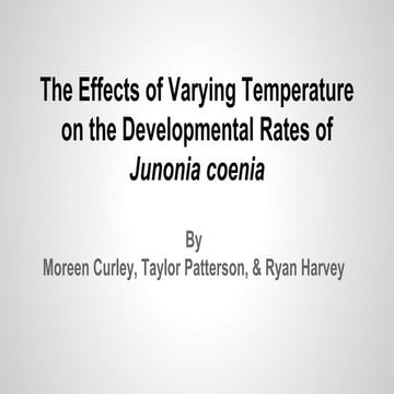 Developmental Rates of Junonia Coenia