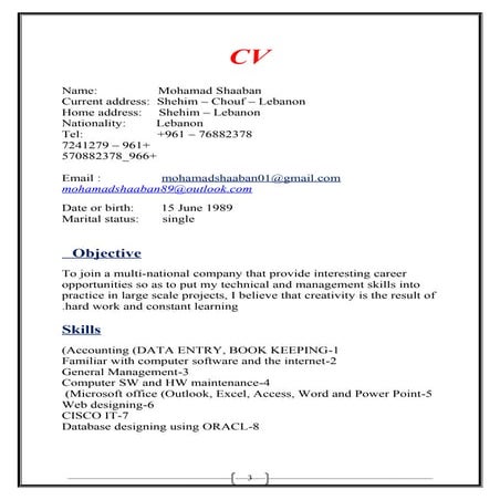 CV Accountant mohamad