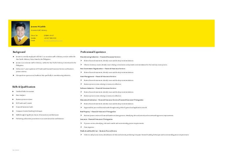 Curriculum vitae ey picture