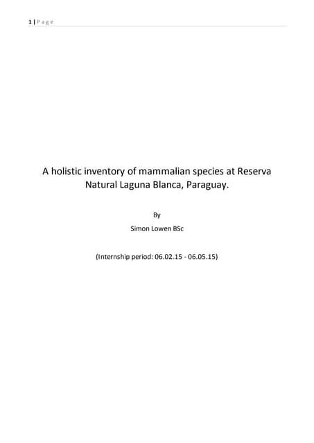 Final write-up 13.01.16