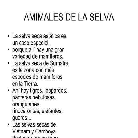 AMIMALES DE LA SELVA