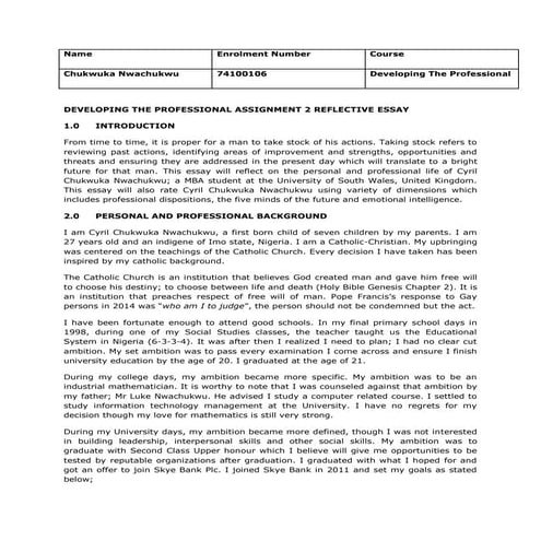 DEVELOPING THE PROFESSIONAL  REFLECTIVE ESSAY -CHUKWUKA NWACHUKWU