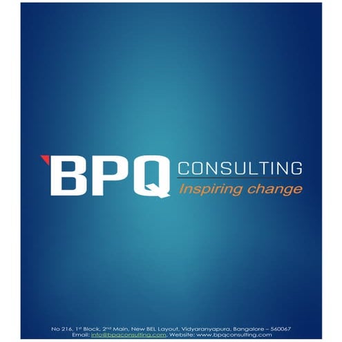 BPQ Consulting Profile V1.1
