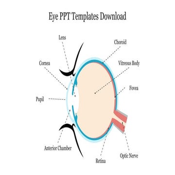 86821-Eye PPT Templates Free Download.pptx