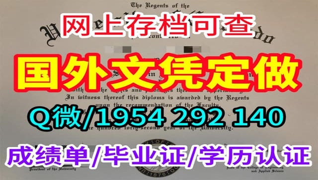 原版迪尤肯大学毕业证办理成绩单快速办理
