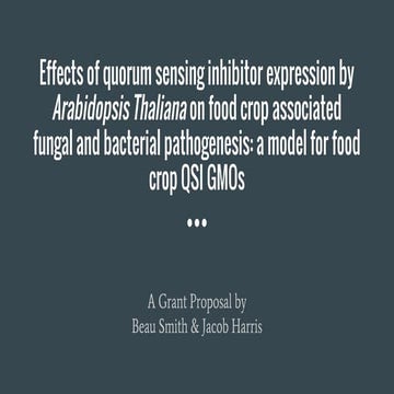 Arabadopsis Thaliana Quorum Sensing Proposal