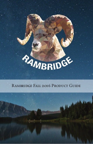 What Is My Succulent And The Artwork Of Time Management