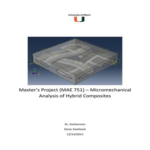 Master's Project | PDF