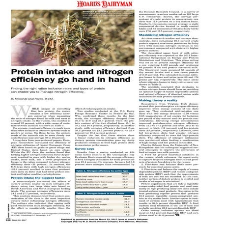 Protein intake and nitrogen efficiency go hand and hand