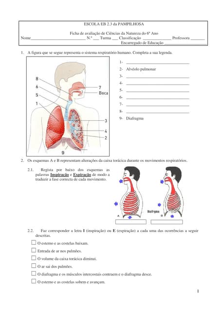 8700358 ficha-de-avaliacao-de-cienc...