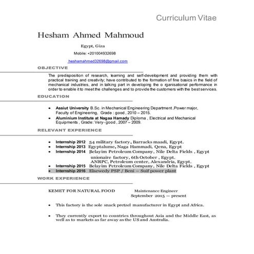 Hesham ..Ahmed_ CV