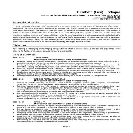 CV Lula Arthur New | PDF