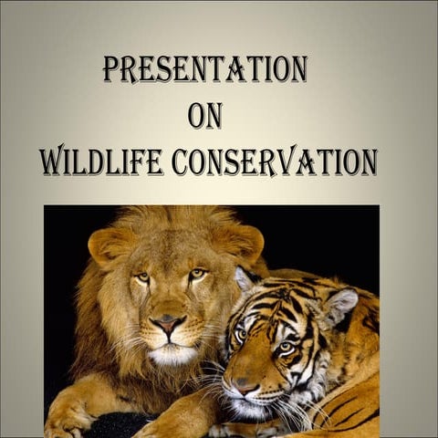 wildlife conservation