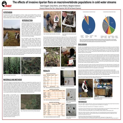 Invasive Flora-Macroinvertebrate Populations poster