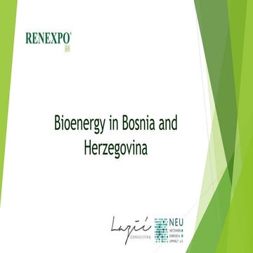 Bioenergy in Bosnia and Herzegovina