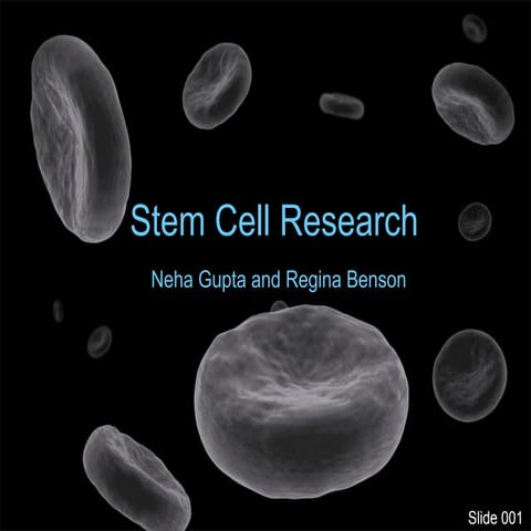 Stem Cell Presentation