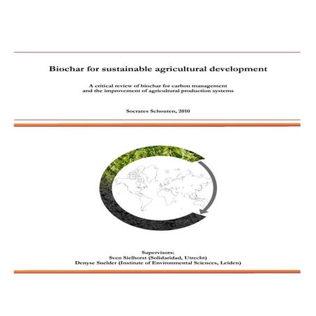 2010 Rapport Biochar Solidaridad