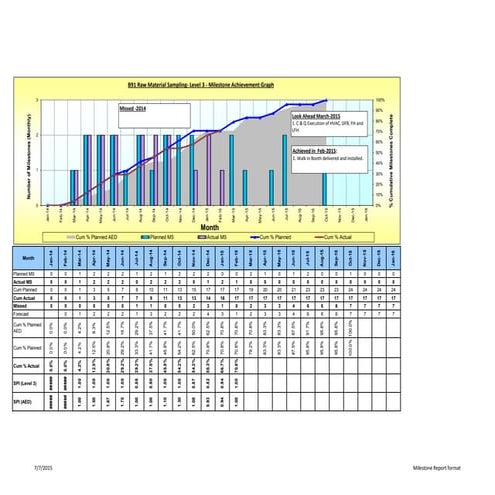 Milestone Report format
