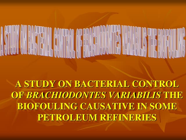 Nesreen Ph.D. Presentation