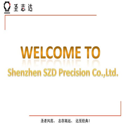 Shenzhen SZD Precision Mold Co.,Ltd. 2016 