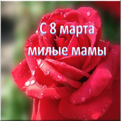 8 марта 8 группа | PPT