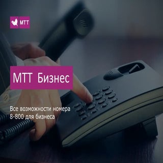 Все возможности номера 8 800 для би...