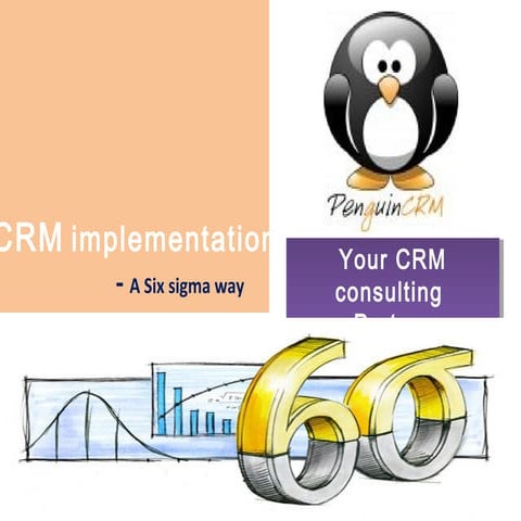 CRM implementation- a six sigma way