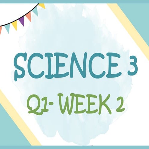 Identifying and Using Basic Science Tools Safely in Grade 3 | PPTX