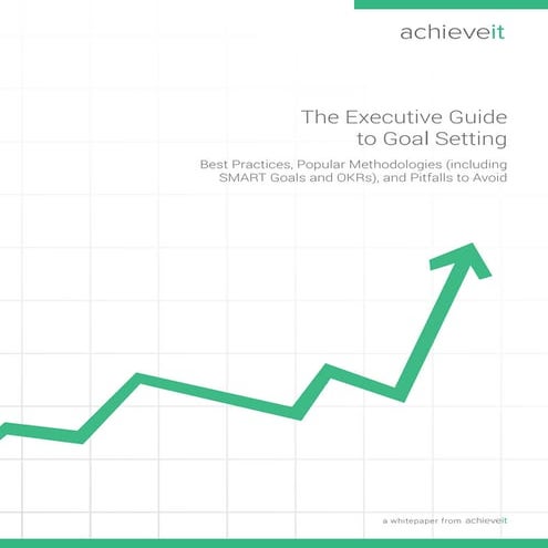 Achieveit WP - Exec Guide to Goal Setting