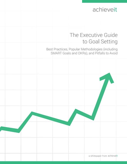 Achieveit WP - Exec Guide to Goal Setting