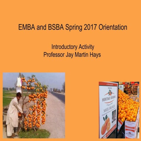 Systems Thinking The Orange Metaphor