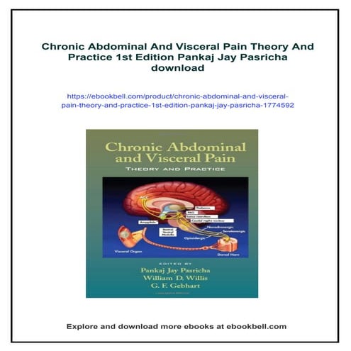 Chronic Abdominal And Visceral Pain Theory And Practice 1st Edition ...