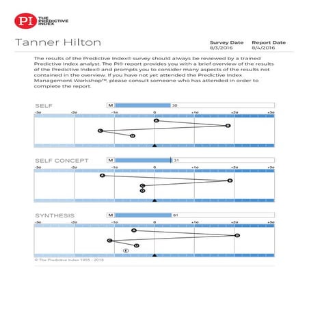 TannerHilton-PIReport