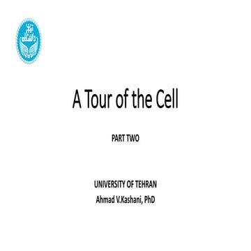 5 - A tour of the cell - Part Two