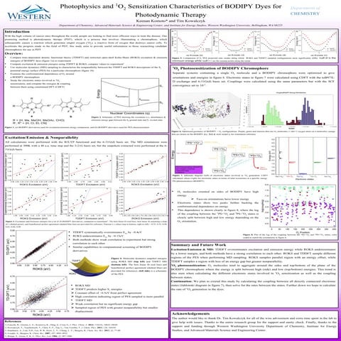 Sonodynamic and photodynamic therapy in advanced breast carcinoma: a ...