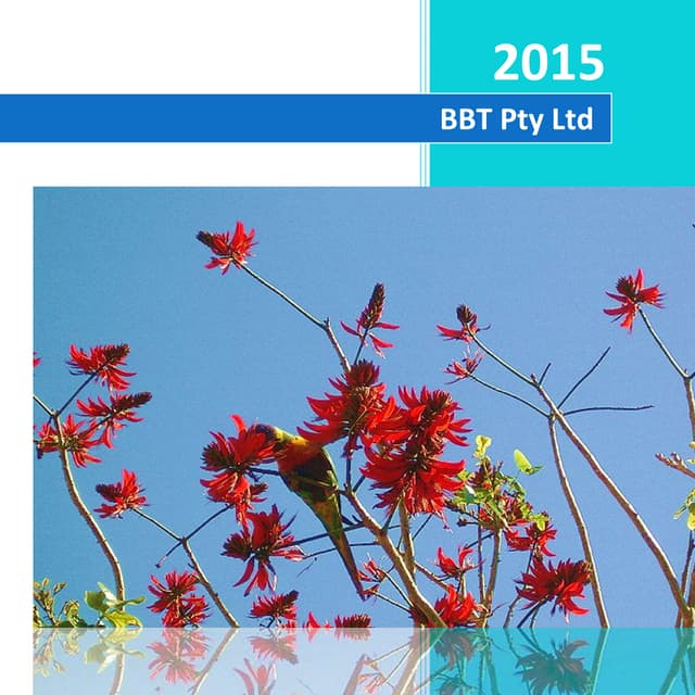 Profile Summary Doc - BBT Pty Ltd