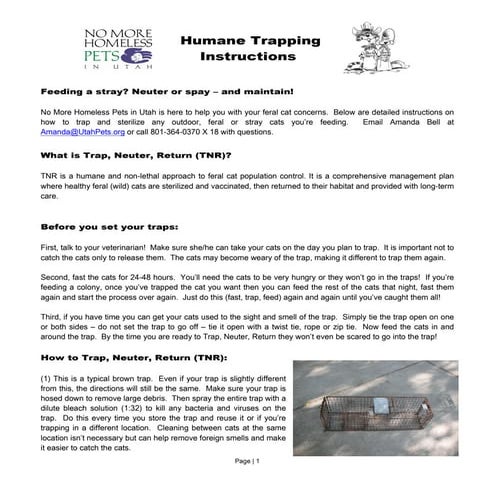 Feral Cat Trapping Instructions | PDF