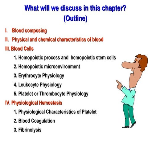 blood physiology