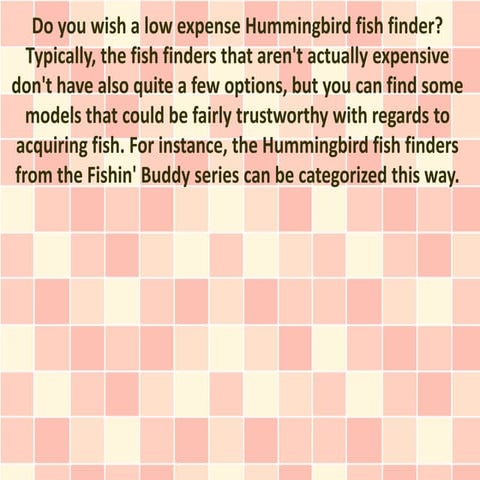 A Small Number of Pluses and Minuses of the Fishin' Buddy Depth Finders