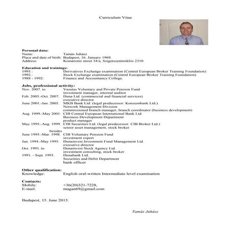 curriculumvitae | PDF