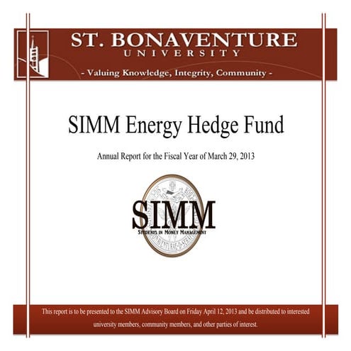 Energy Hedge Fund, Annual Report 2013