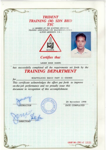 Scaffolding Competent Person Inspection Course | PDF