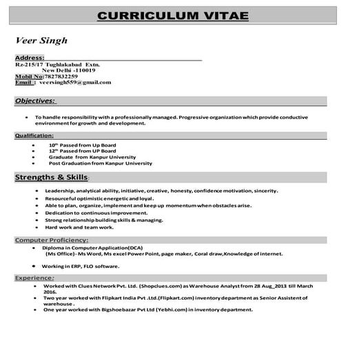 CURRICULUM VITAE